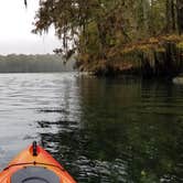 Review photo of Manatee Springs State Park Campground by Yankee D., April 21, 2021