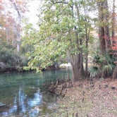 Review photo of Manatee Springs State Park Campground by Yankee D., April 21, 2021