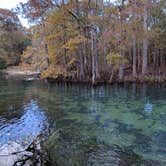 Review photo of Manatee Springs State Park Campground by Yankee D., April 21, 2021