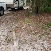 Review photo of Manatee Springs State Park Campground by Yankee D., April 21, 2021