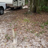 Review photo of Manatee Springs State Park Campground by Yankee D., April 21, 2021