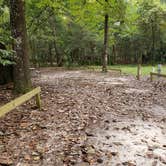 Review photo of Manatee Springs State Park Campground by Yankee D., April 21, 2021