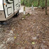 Review photo of Manatee Springs State Park Campground by Yankee D., April 21, 2021