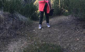 Christina C.'s photo of camping with pets at Arroyo Seco near Lucia, CA