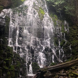 the fabulous Ramona falls that is about 5 minutes up the road and a great 7 mile hike