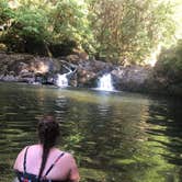 Review photo of Cavitt Creek Falls by Gretch H., April 21, 2021