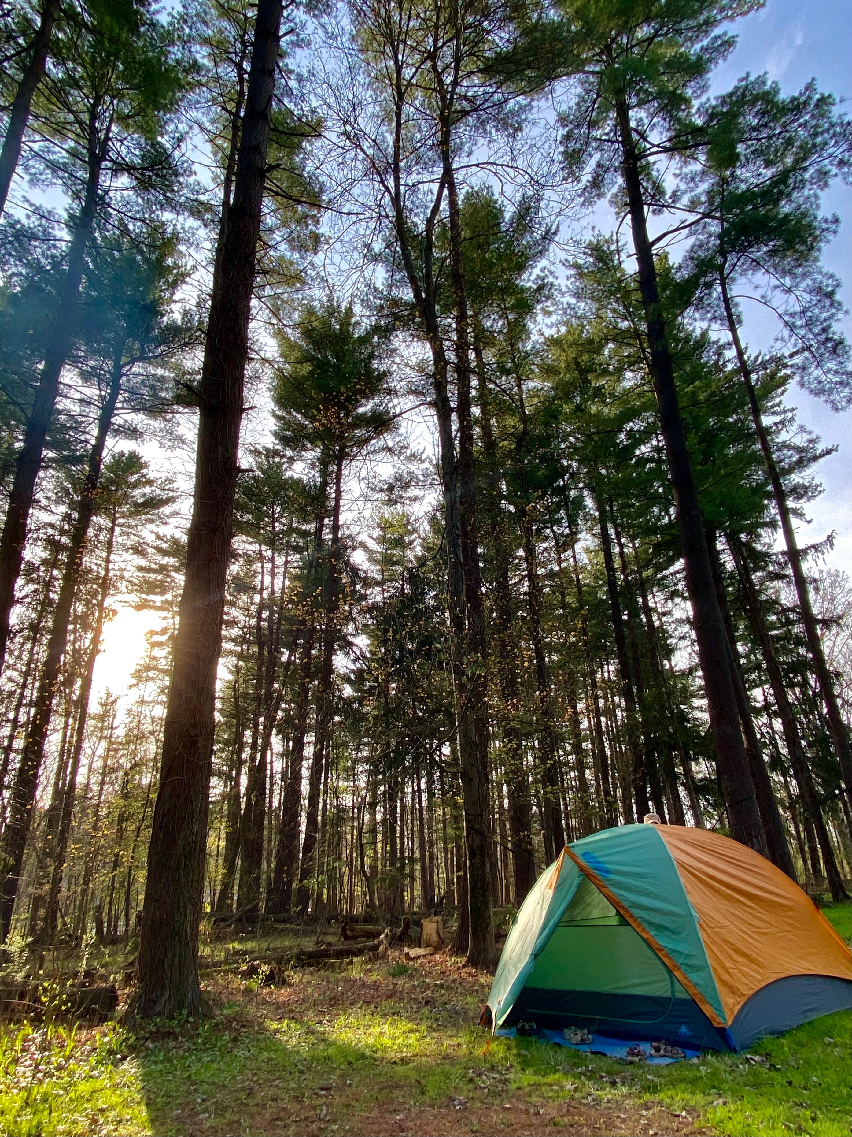 Jillian E.'s photo at Findley State Park Campground near Greenwich, OH