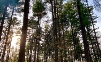 Jillian E.'s photo at Findley State Park Campground near Greenwich, OH