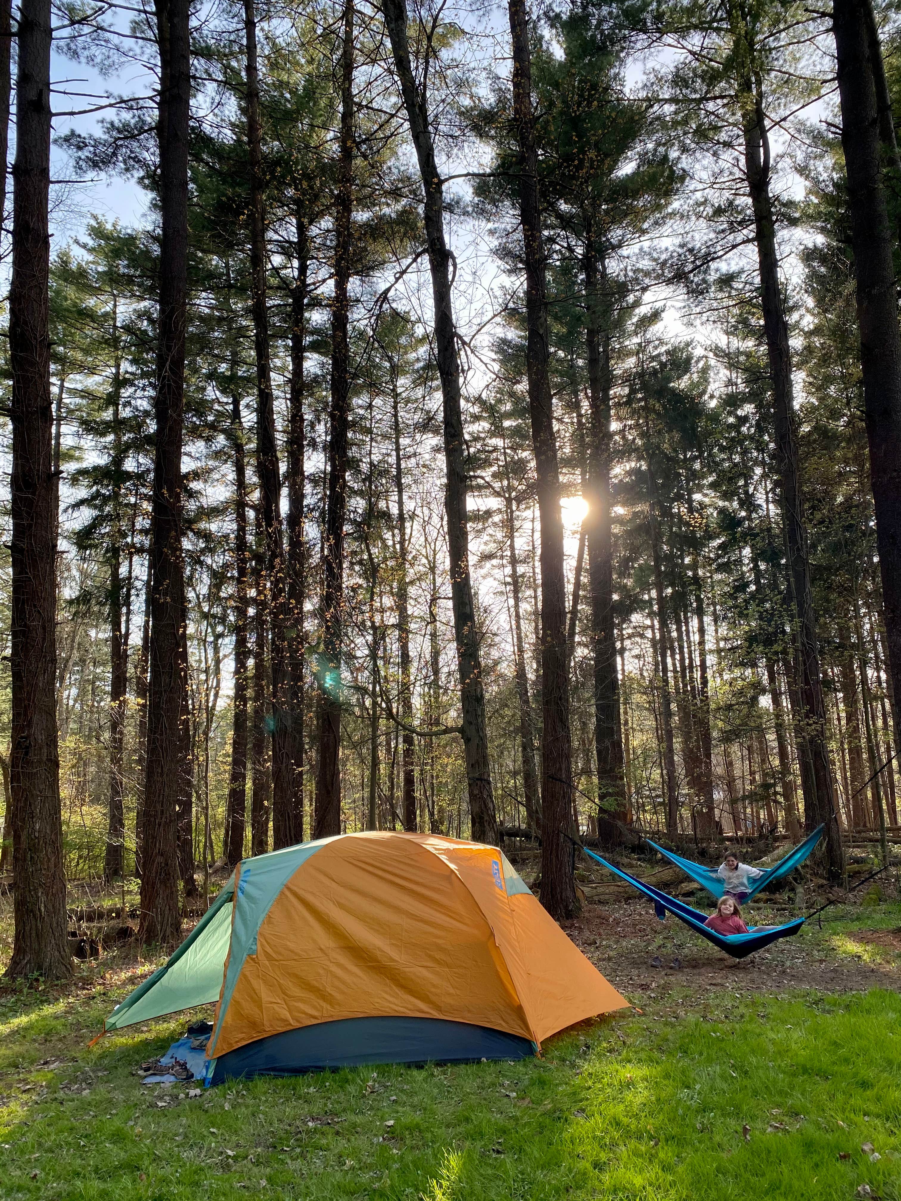 Jillian E.'s photo at Findley State Park Campground near Medina, OH