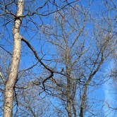 Review photo of Indiana Dunes State Park Campground by Monique G., April 21, 2021