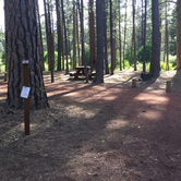 Review photo of Allingham Campground by Kayko S., July 14, 2016