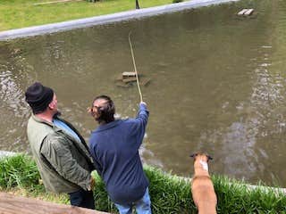 Camper-submitted photo at Kirkland Creek Campground and Cabins near Bryson City, NC