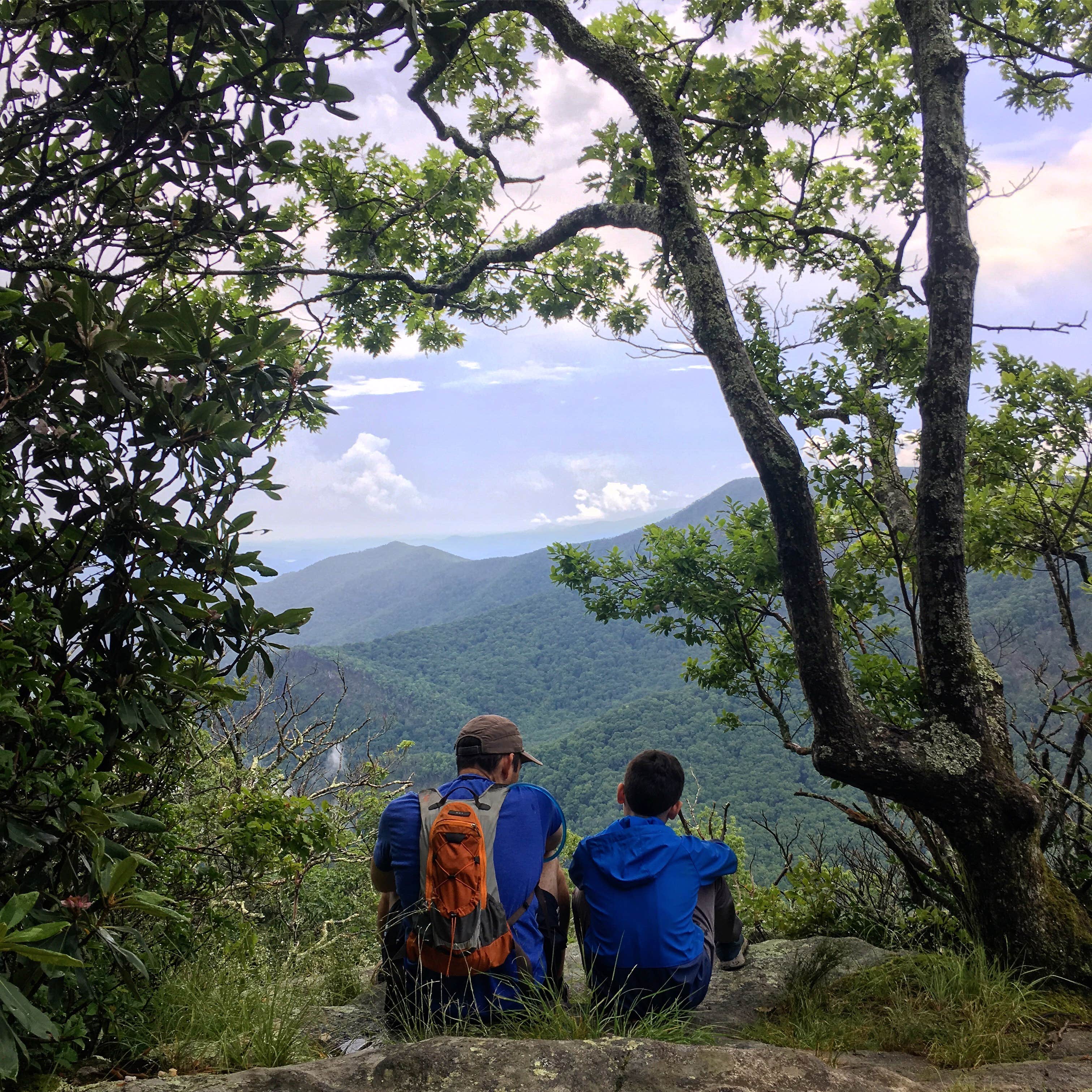 Camper submitted image from Picken's Nose Primitive Campground - 1