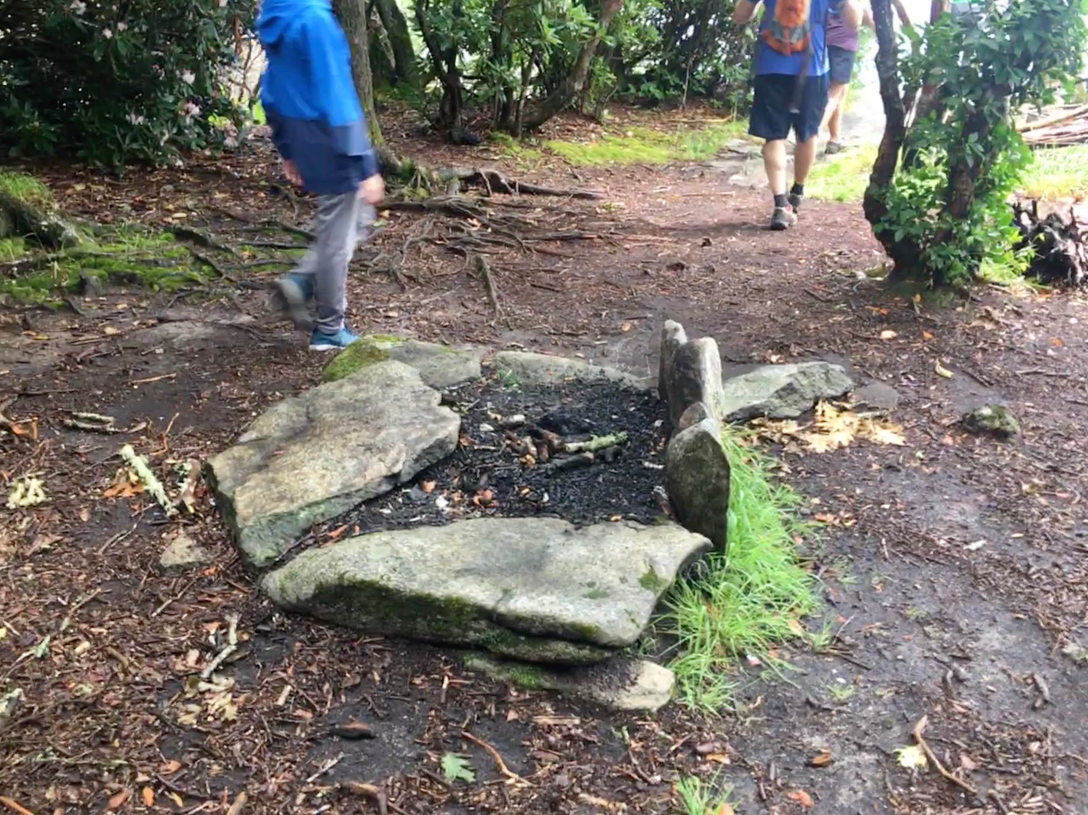 Camper-submitted photo at Picken's Nose Primitive Campground near Dillard, GA