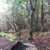 Review photo of Picken's Nose Primitive Campground  by Asher K., April 21, 2021