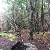 Review photo of Picken's Nose Primitive Campground by Asher K., April 21, 2021