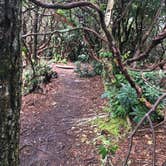 Review photo of Picken's Nose Primitive Campground by Asher K., April 21, 2021