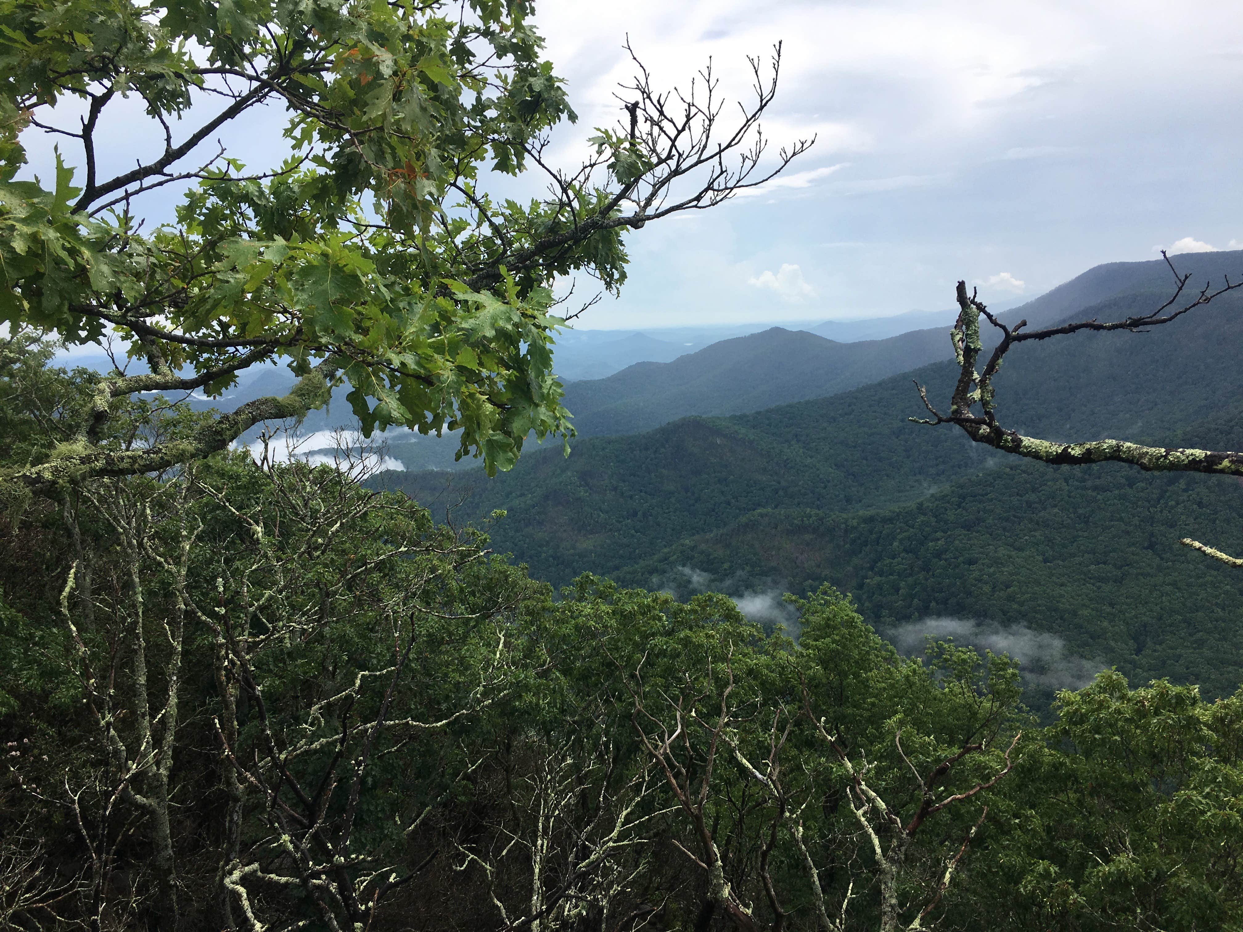 Camper submitted image from Picken's Nose Primitive Campground - 5