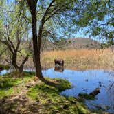 Review photo of Patagonia Lake State Park Boat-In Campsites by Kelly K., April 22, 2021