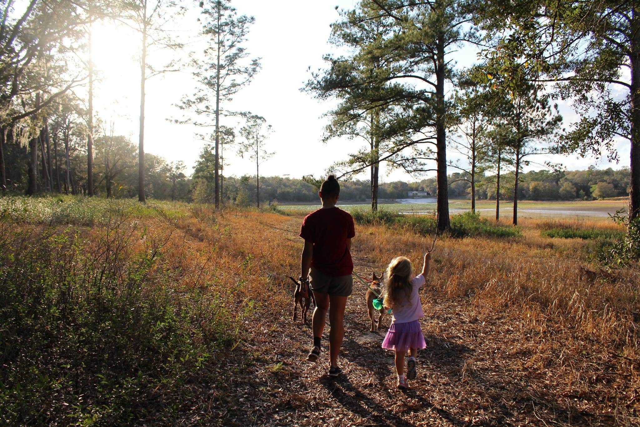 Camper submitted image from Mike Roess Gold Head Branch State Park Campground & Cabins - 4