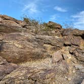 Review photo of Yaqui Well Primitive Campground — Anza-Borrego Desert State Park by krisha , April 22, 2021