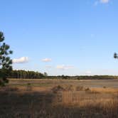 Review photo of Mike Roess Gold Head Branch State Park Campground & Cabins by Brenda S., May 2, 2018