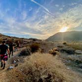 Review photo of Yaqui Well Primitive Campground — Anza-Borrego Desert State Park by krisha , April 22, 2021