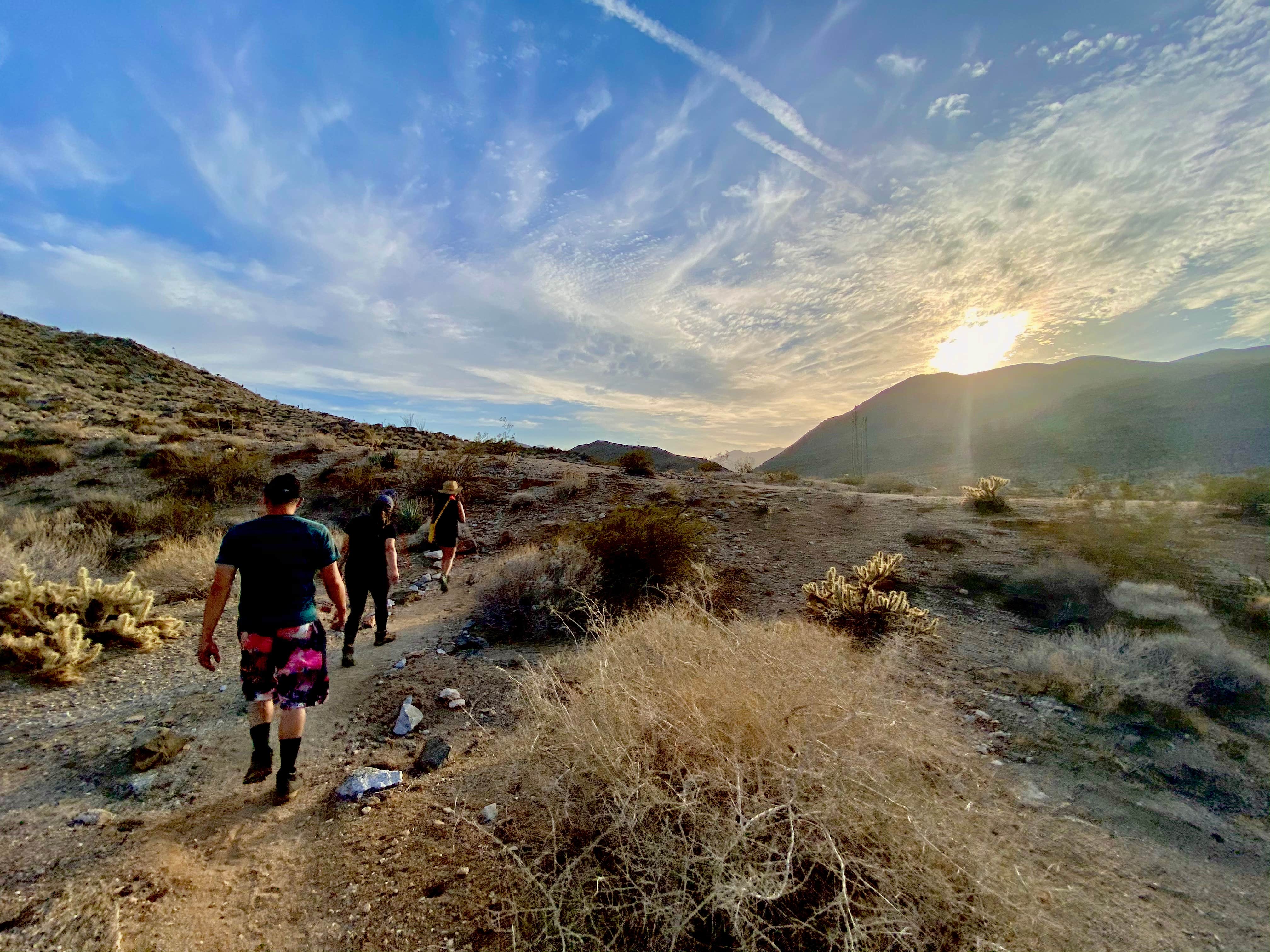 Camper submitted image from Yaqui Well Primitive Campground — Anza-Borrego Desert State Park - 5