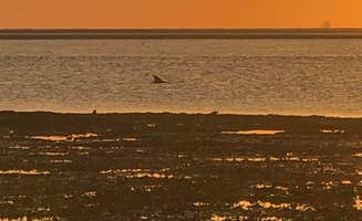 Sho A.'s photo of a dispersed camping area at Little Tybee Island Dispersed in Georgia