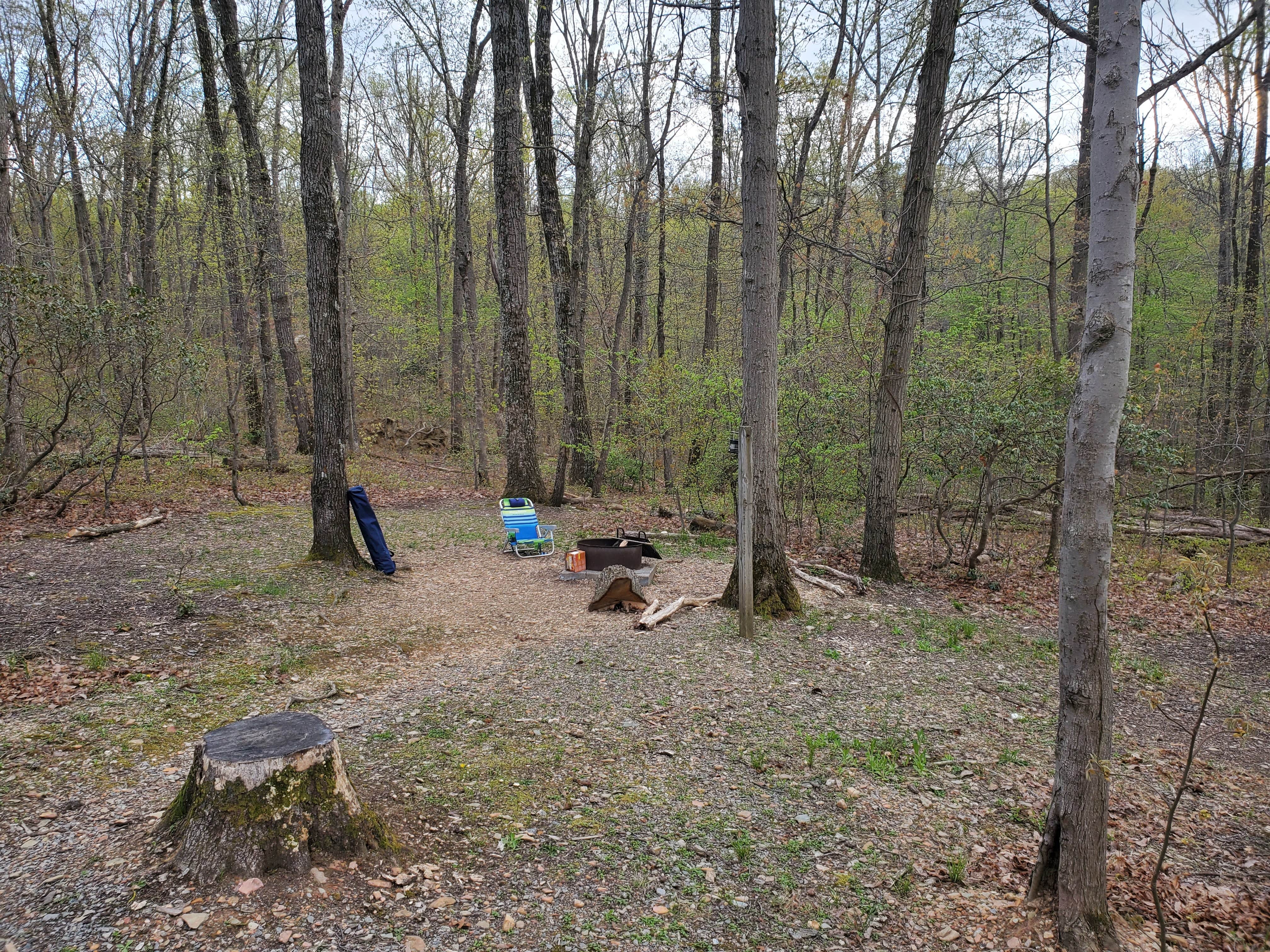 Little Regional Park Campground The Dyrt