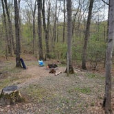 Review photo of Little Bennett Campground by singinajf@aol.com , April 22, 2021
