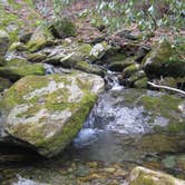 Review photo of Grandfather Mountain Campground by Julie L., April 22, 2021