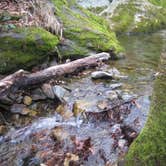 Review photo of Grandfather Mountain Campground by Julie L., April 22, 2021