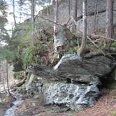 Review photo of Grandfather Mountain Campground by Julie L., April 22, 2021