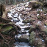 Review photo of Grandfather Mountain Campground by Julie L., April 22, 2021