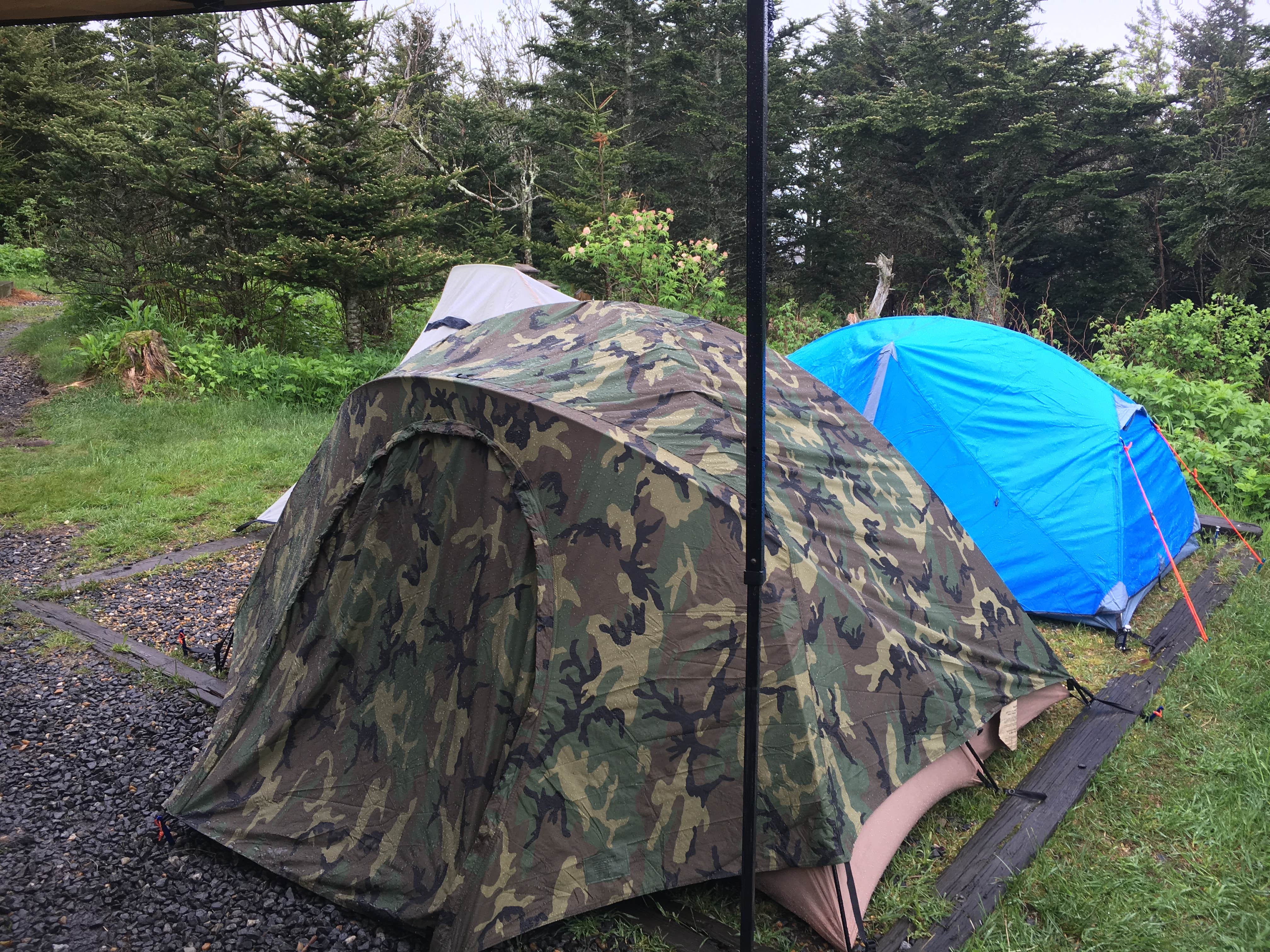 Camper submitted image from Mount Mitchell State Park Campground - 4