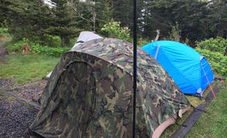 Avery M.'s photo at Mount Mitchell State Park Campground near Burnsville, NC