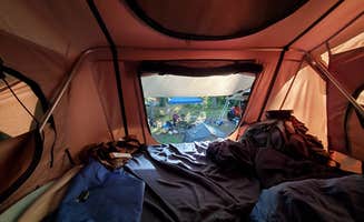 Matt R.'s photo at Otter River State Forest near Fitzwilliam, NH