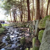 Review photo of Otter River State Forest by Matt R., April 22, 2021