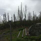 Review photo of Mount Mitchell State Park Campground by Avery M., June 1, 2018