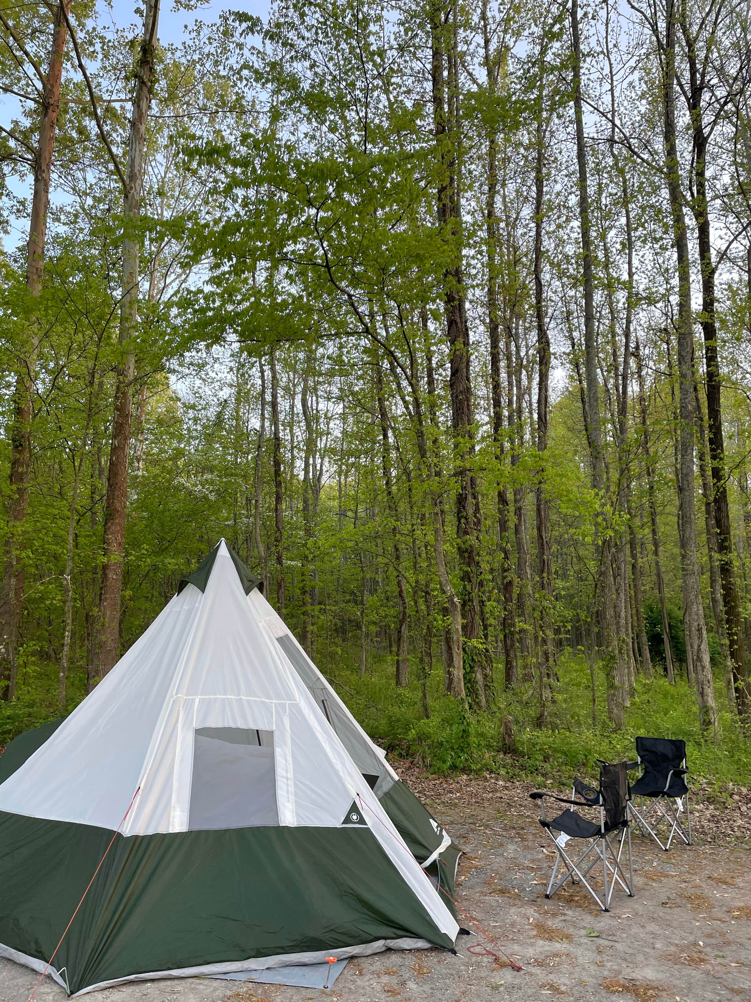 Marcella's photo of tent camping at Gatlin Point Self-Service Campground near Pleasant View, TN