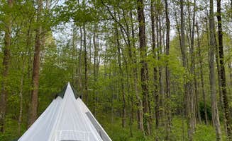 Marcella's photo at Gatlin Point Self-Service Campground in Tennessee
