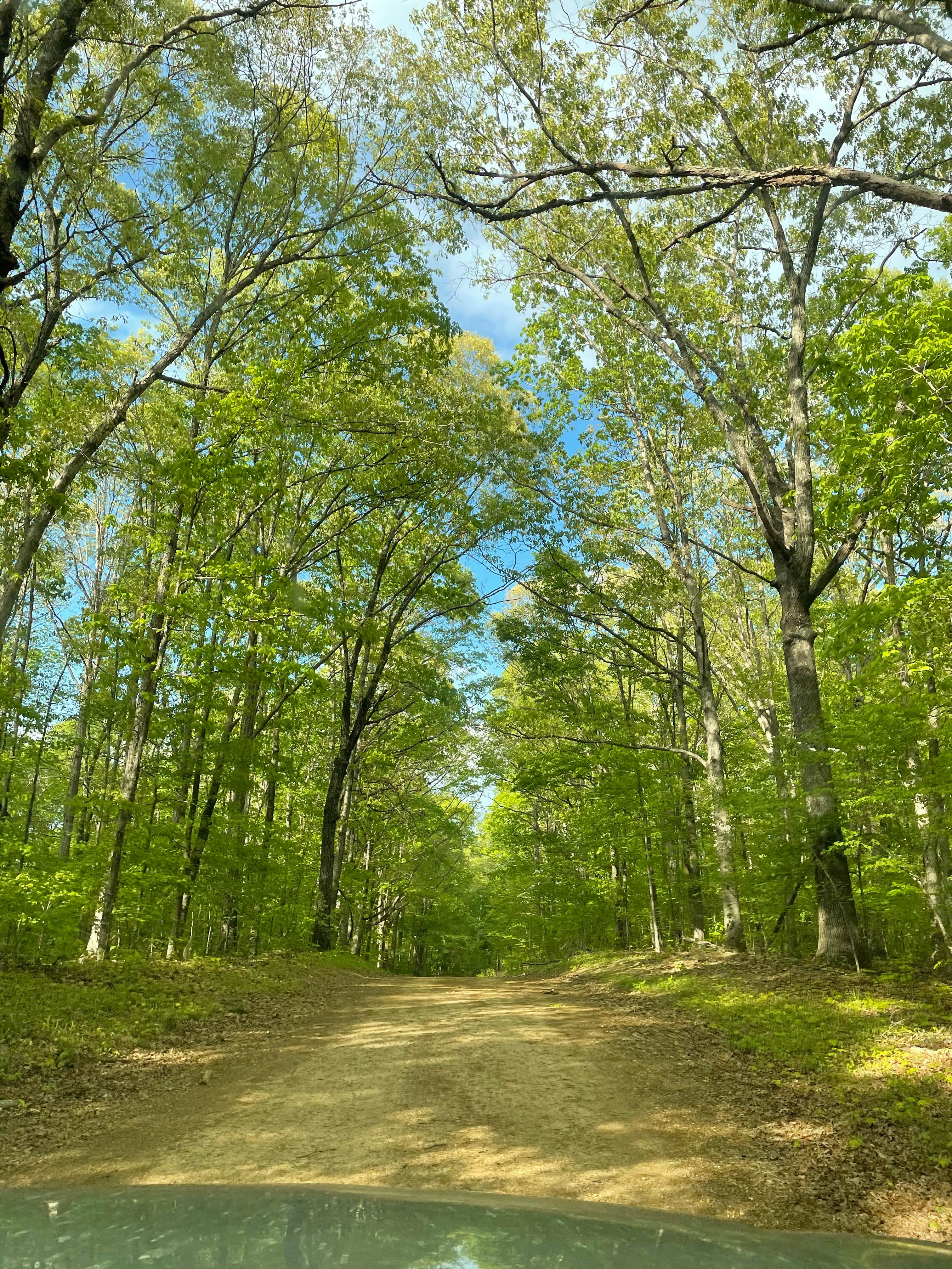 Camper-submitted photo at Gatlin Point Self-Service Campground near Dresden, TN