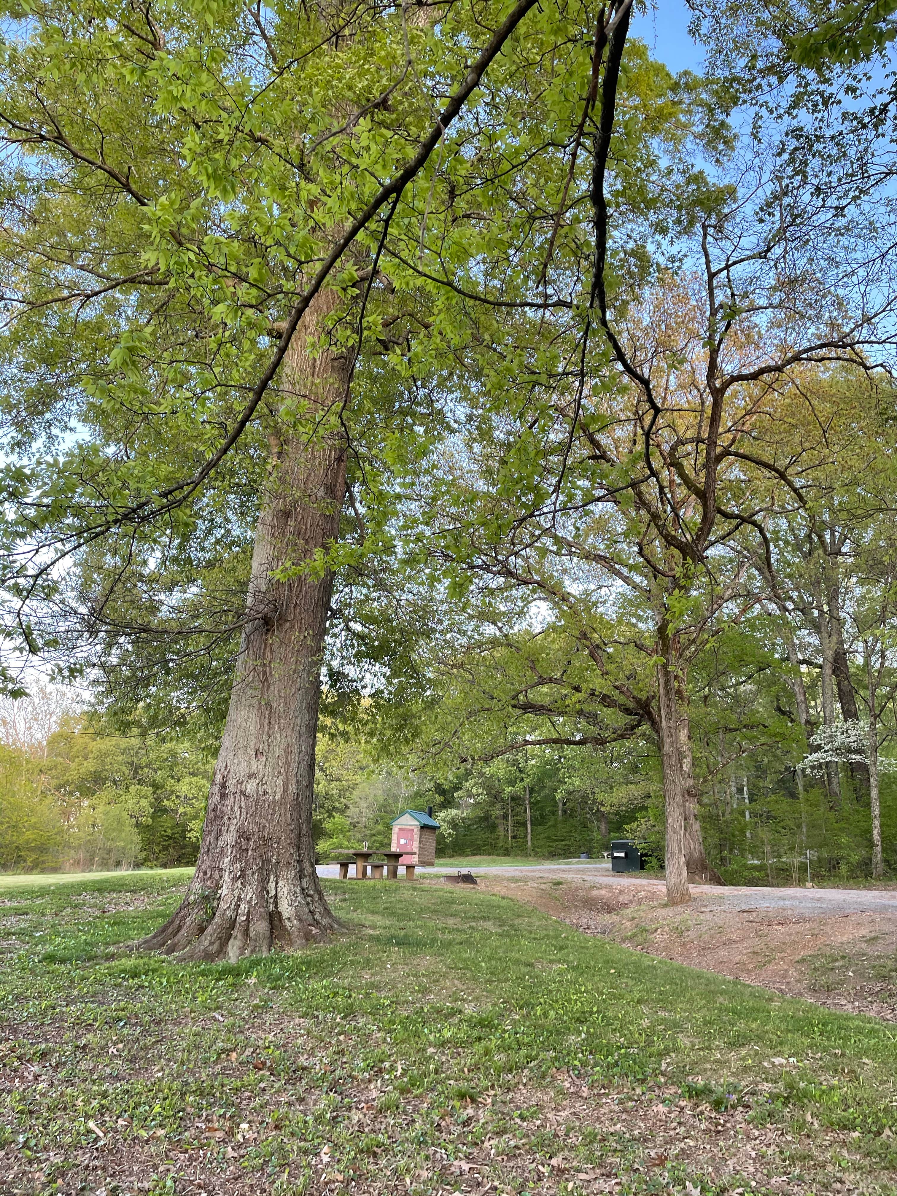 Camper-submitted photo at Gatlin Point Self-Service Campground near Dresden, TN