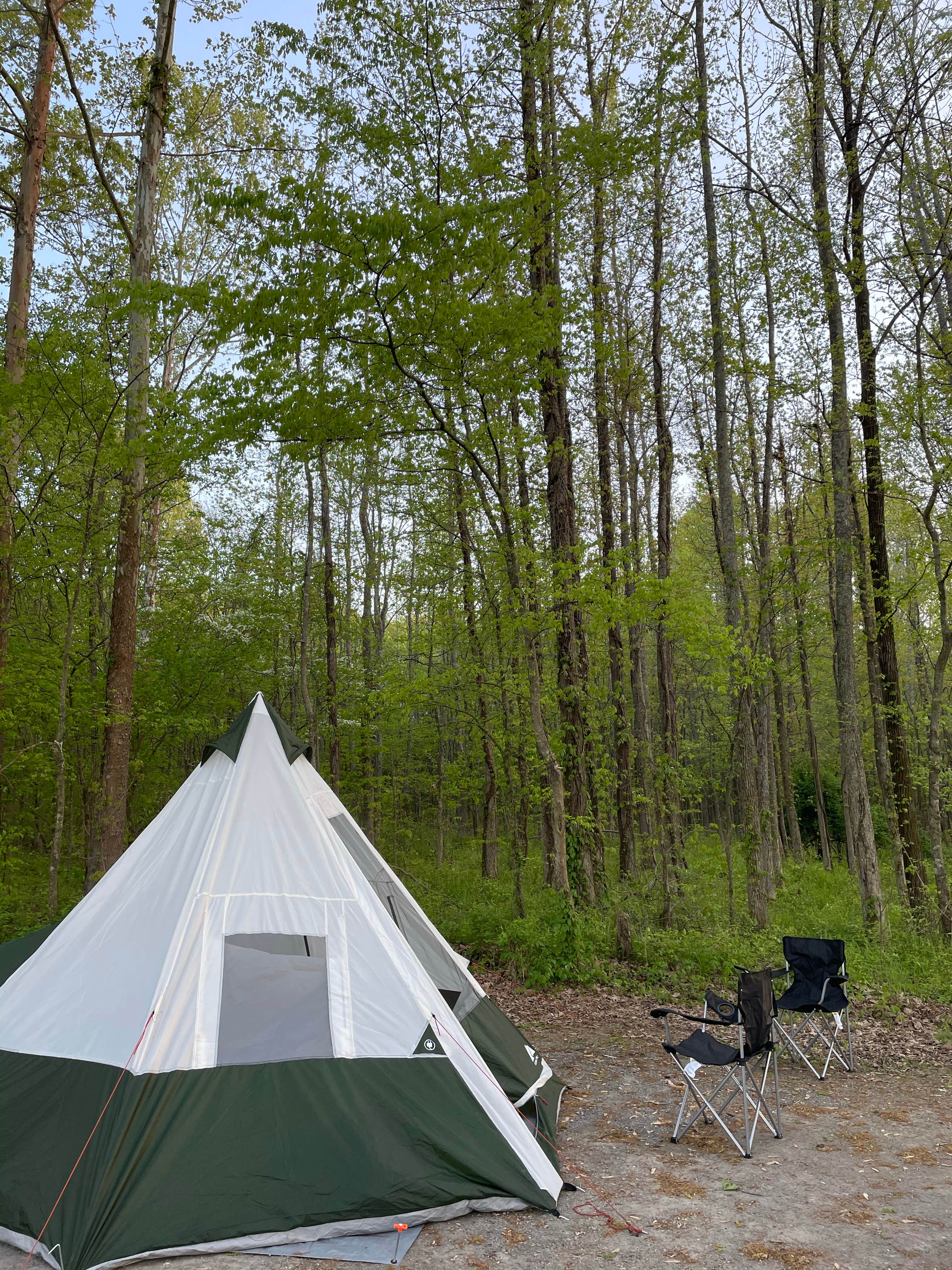 Camper submitted image from Gatlin Point Self-Service Campground - 5