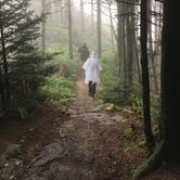 Review photo of Mount Mitchell State Park Campground by Avery M., June 1, 2018