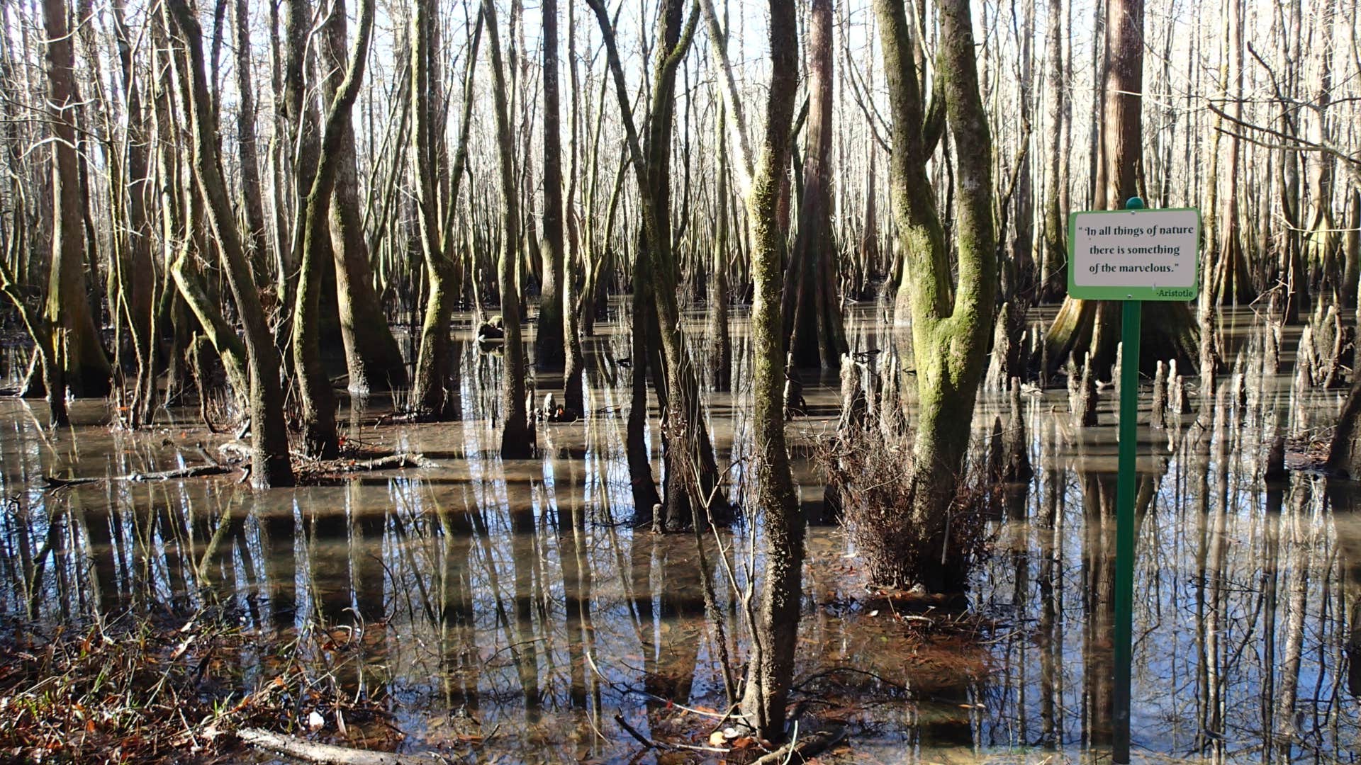 Tickfaw State Park The Dyrt