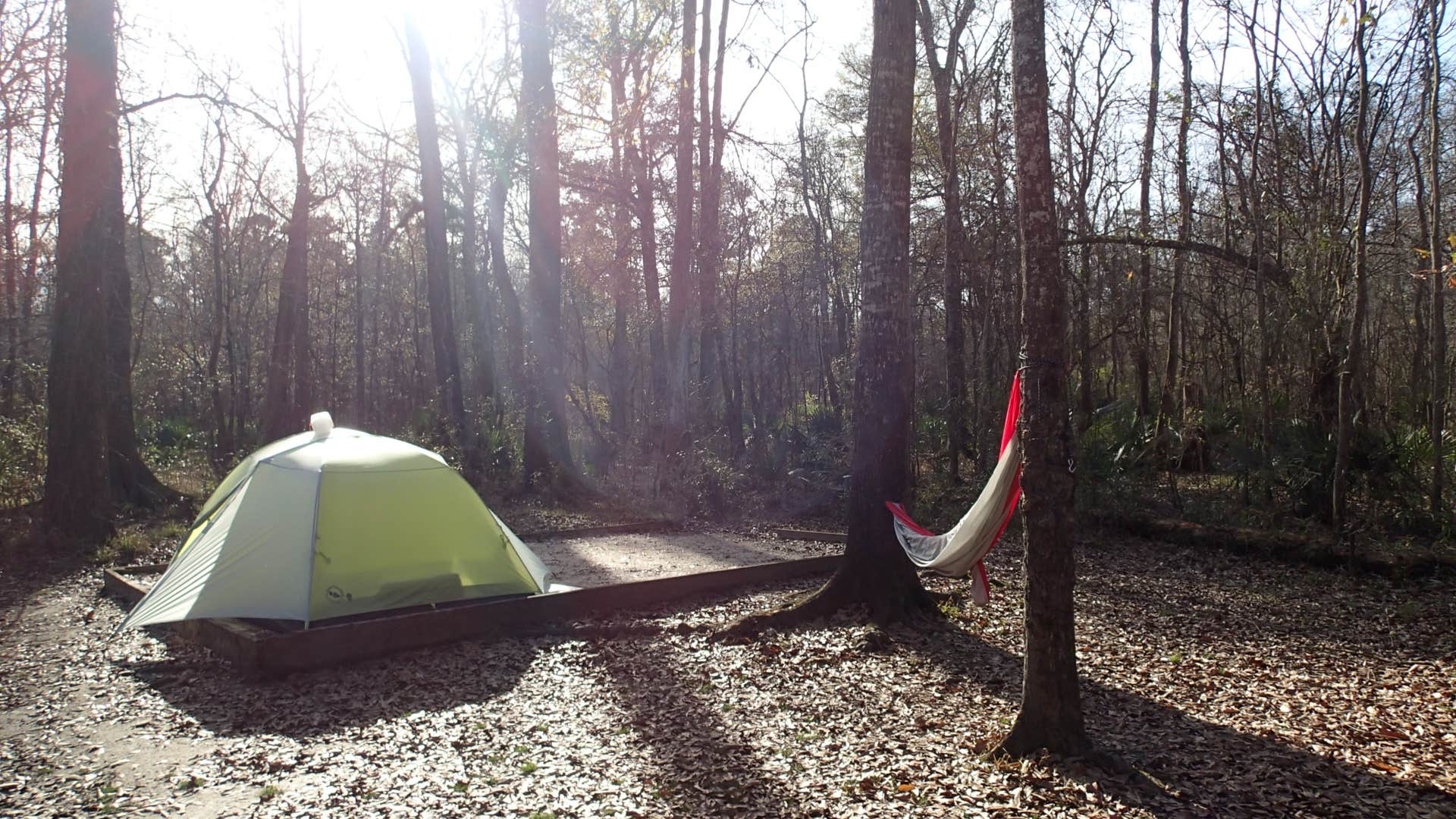 Sean S.'s photo at Tickfaw State Park Campground near Baker, LA