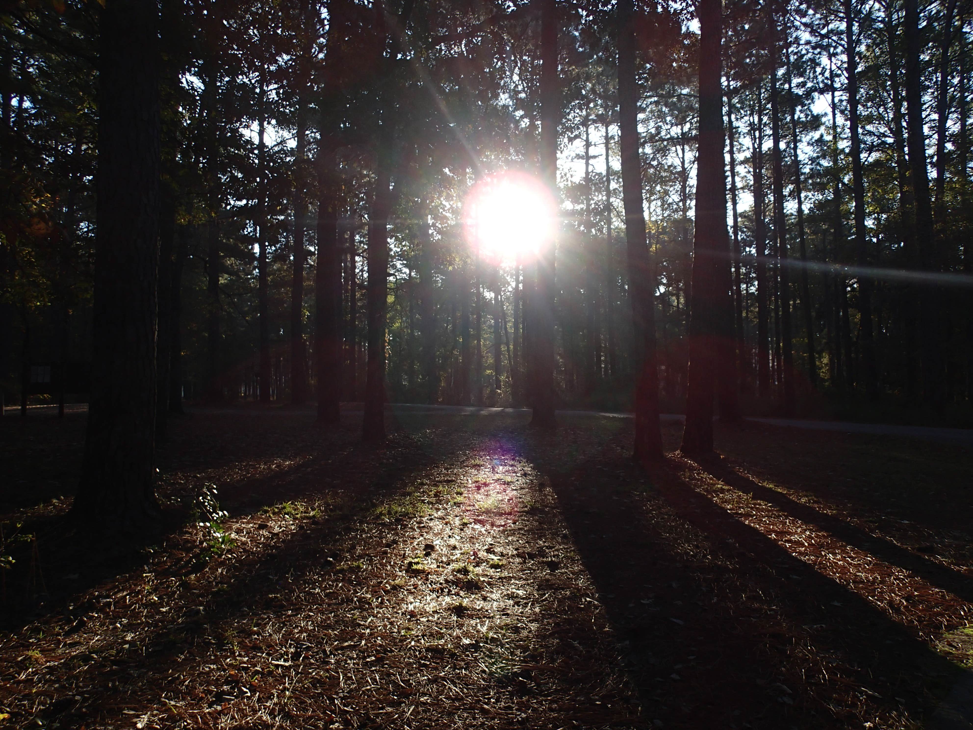 Camper-submitted photo at Stuart Lake NF Campground near Pineville, LA