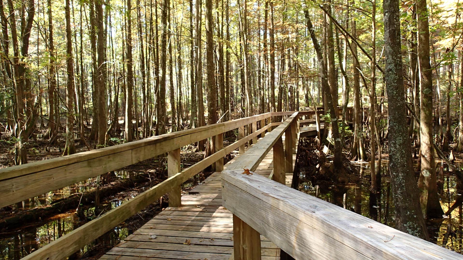 Camper-submitted photo at Stuart Lake NF Campground near Pineville, LA